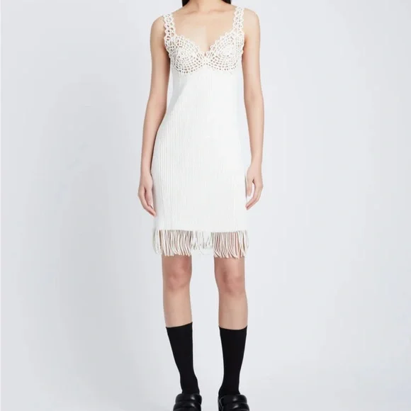 Brand New Proenza Schouler Embroidered Knit Dress Mini
